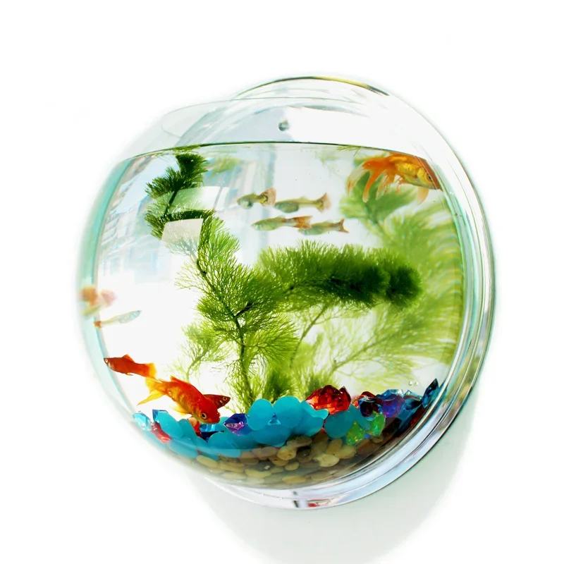 Betta Fish Tank - حوض سمك أكريليك من بينجر، حوض