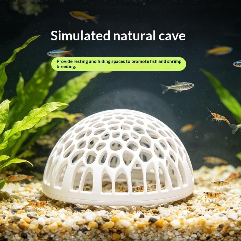 Betta Fish Tank - بيت جديد للجمبري في حوض السمك،