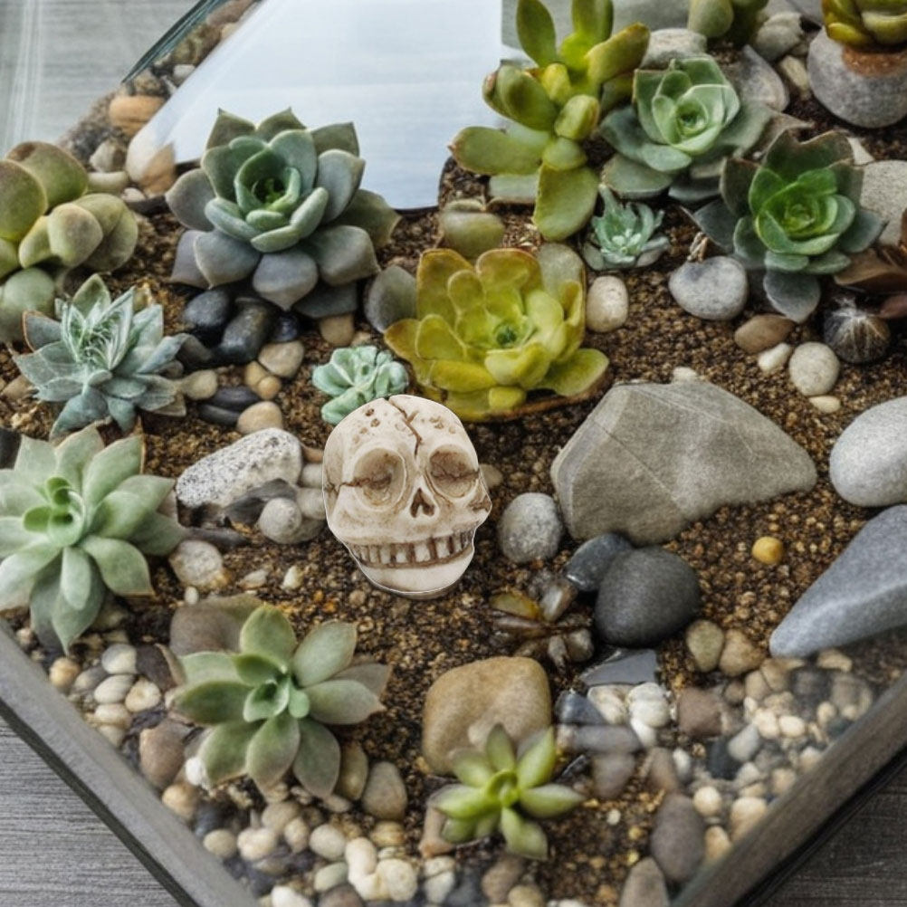 20 قطعة من تزيينات الجماجم الم - مراجعة Aquarium Decor وسعره