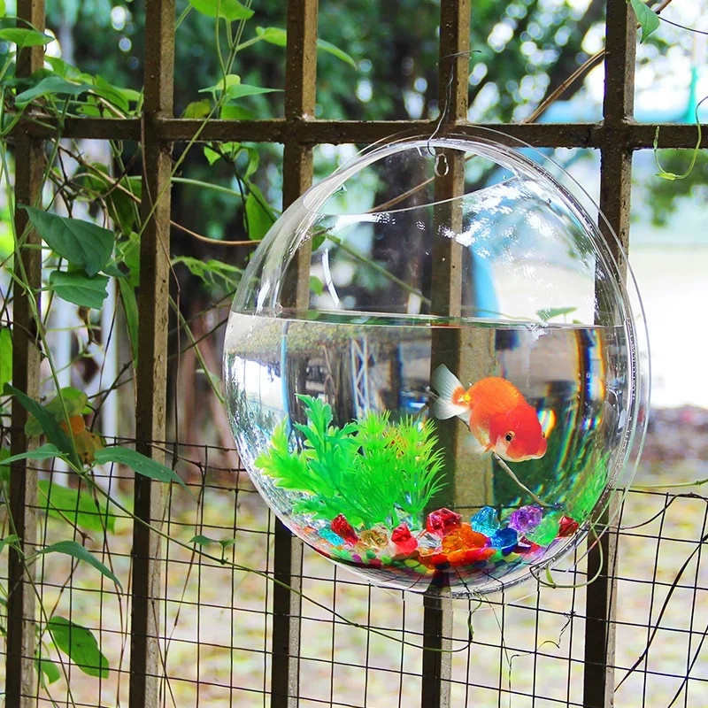 حوض سمك أكريليك من بينجر، حوض  - مراجعة Betta Fish Tank وسعره