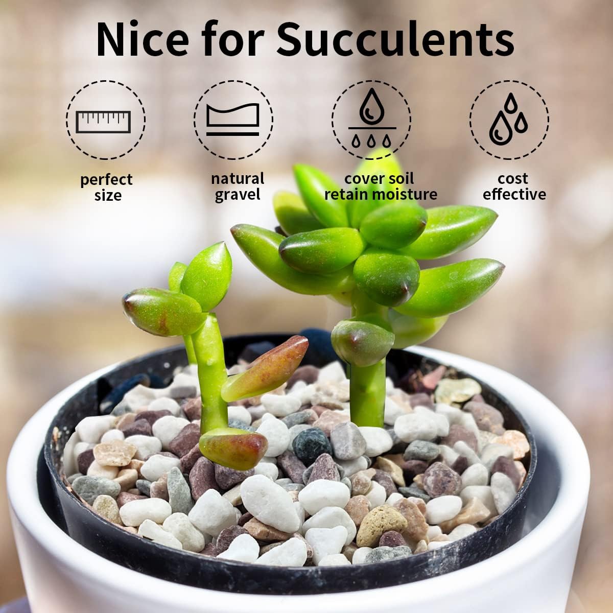 حصى ملون مختلط، حصى زخرفية لأح - مراجعة Fish Tank Gravel وسعره