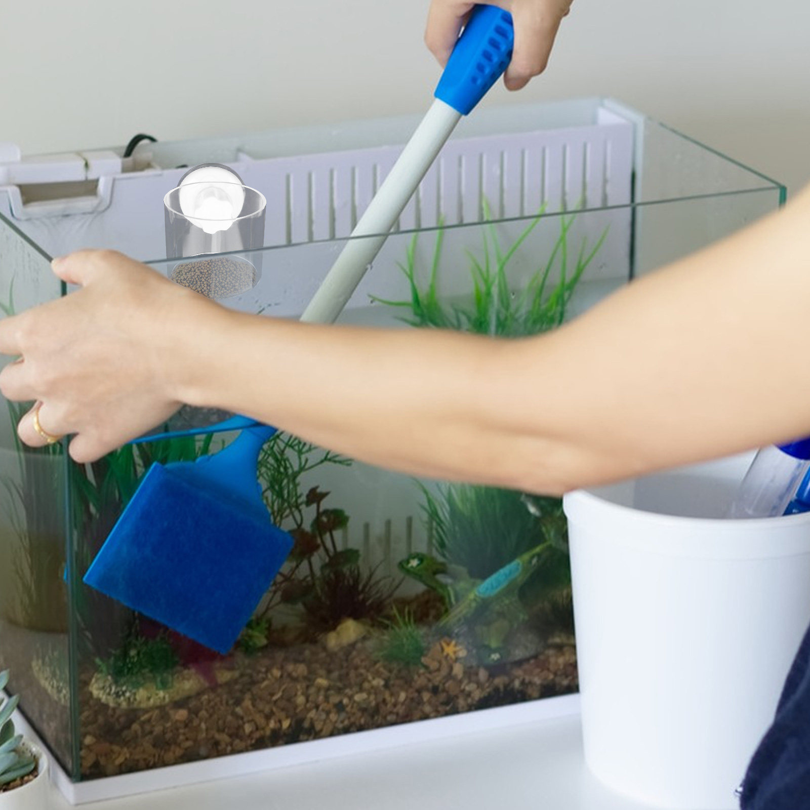 حلقتا تغذية للأسماك في حوض الس - مراجعة Aquarium Fish Keeping وسعره