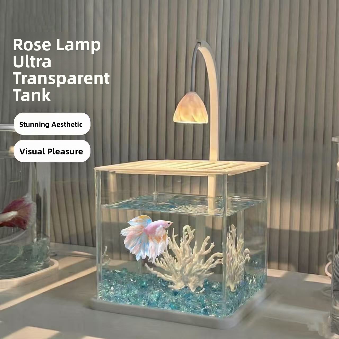 حوض سمك أكريليك شفاف بتصميم كر - مراجعة Betta Fish Tank وسعره
