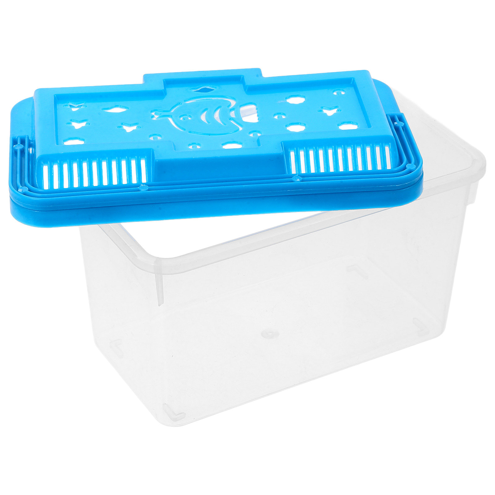 حوض سمك شفاف لعيد الهالوين وعي - مراجعة Aquarium Fish Betta وسعره