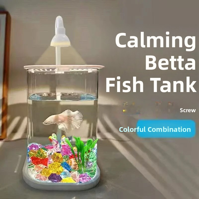حوض سمك شفاف صغير كامل مع أحجا - مراجعة Betta Fish Tank وسعره