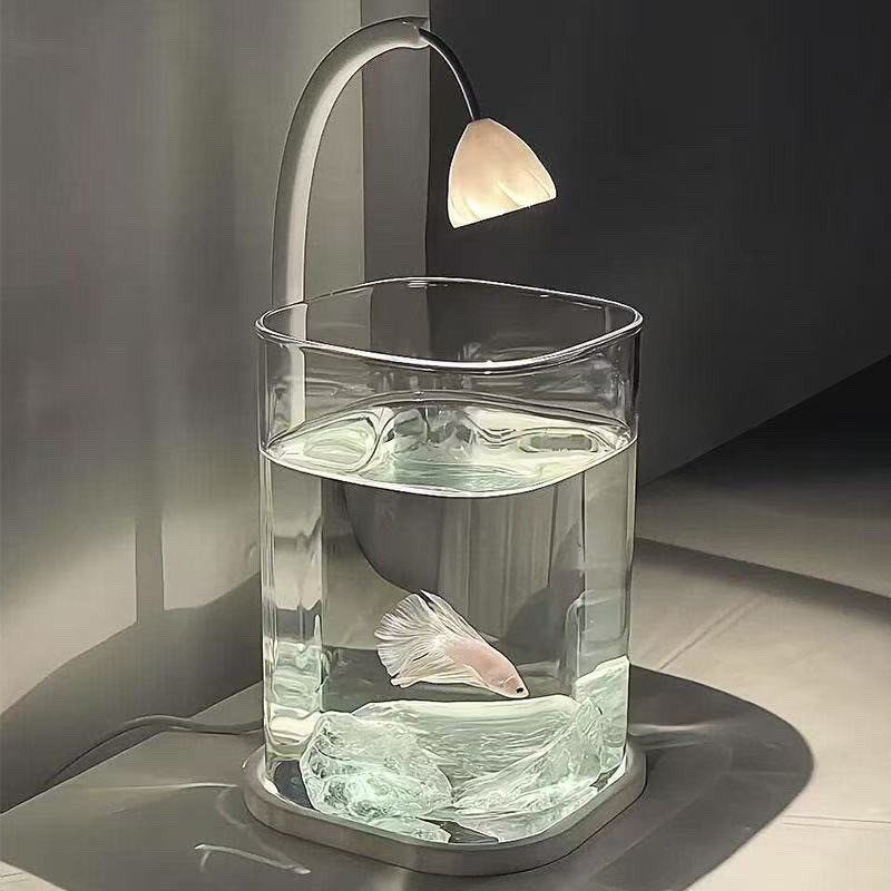 حوض سمك شفاف صغير كامل مع أحجا - مراجعة Betta Fish Tank وسعره