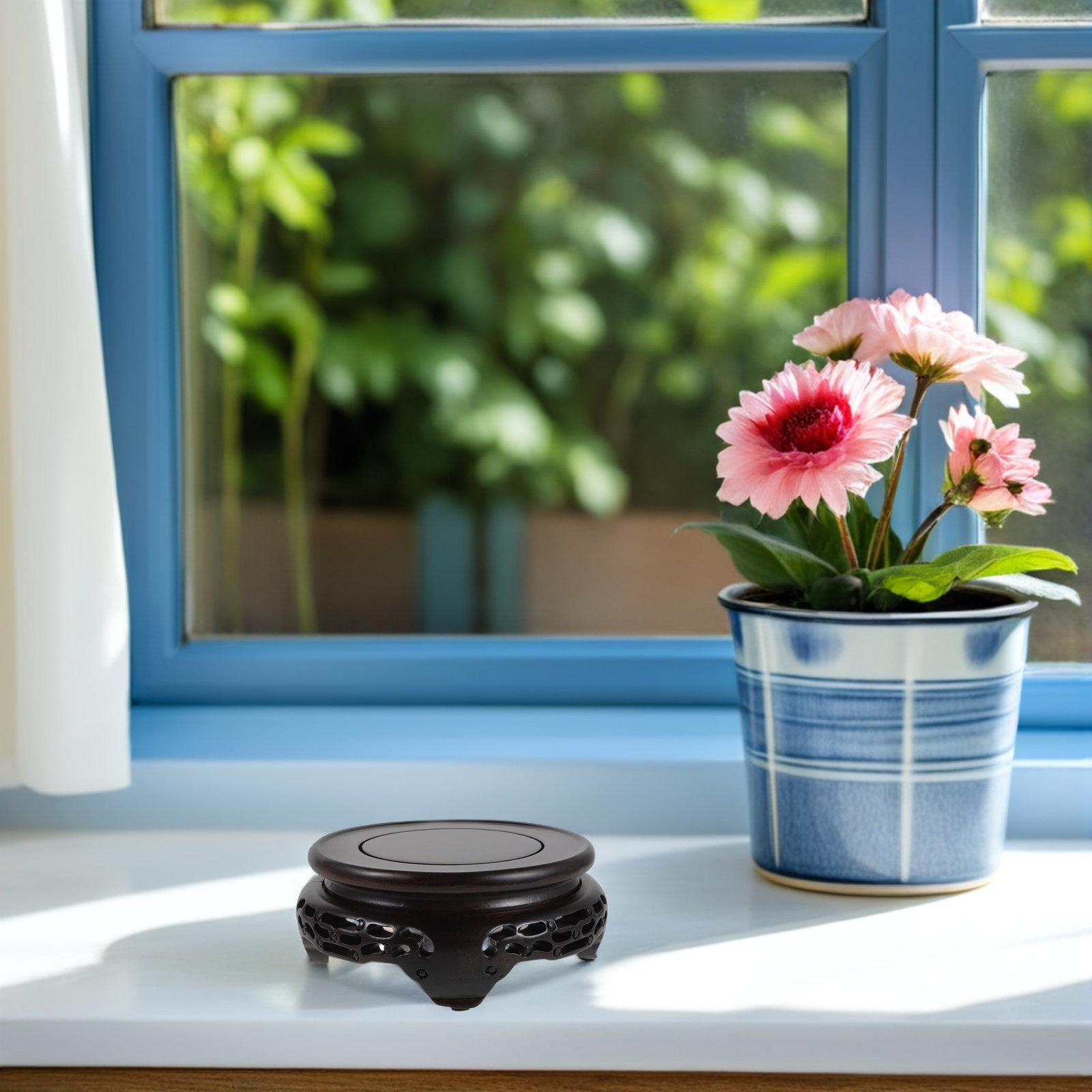حامل عرض مزهريات خشبي، قاعدة م - مراجعة Aquarium Plants وسعره