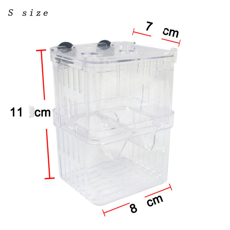 صندوق عزل تربية الأسماك الطاوو - مراجعة Betta Fish Tank وسعره
